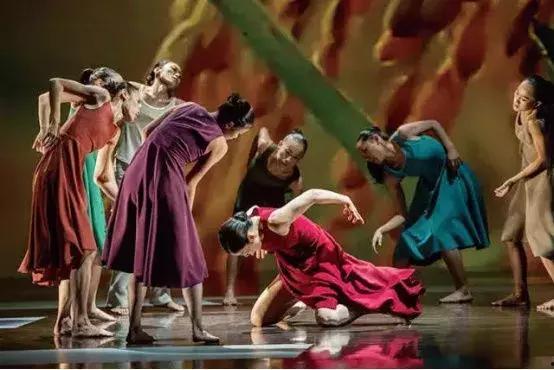 吃瓜男女跳舞视频大全,吃瓜男女共舞视频大盘点