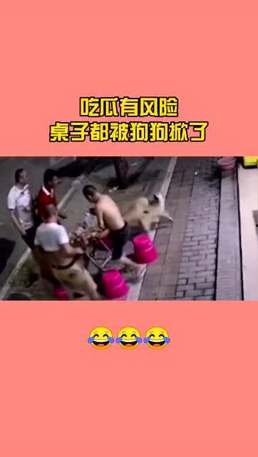 吃瓜被桌子绊倒,意外成为网络热议焦点
