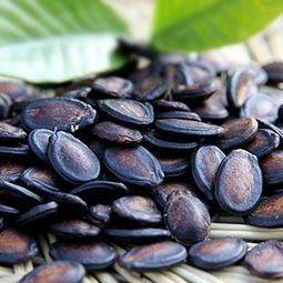 吃瓜拉瓜子,拉瓜子,品生活百态